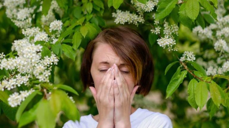 Jak ustala się alergię na pyłki? Metody diagnozowania